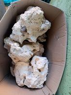 Maanstenen voor aquarium of vijver, Enlèvement