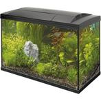 Superfish 100L Aquarium met toebehoren – Zo goed als nieuw, Dieren en Toebehoren, Vissen | Aquaria en Toebehoren, Ophalen, Zo goed als nieuw