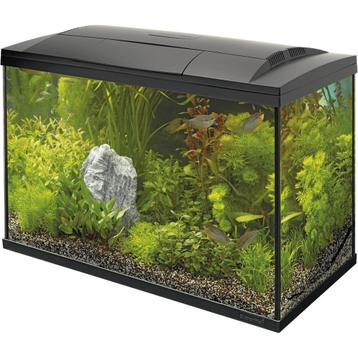 Superfish 100L Aquarium met toebehoren – Zo goed als nieuw beschikbaar voor biedingen
