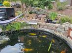 Etang