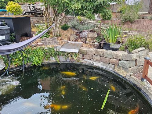 Etang, Tuin en Terras, Vijvers