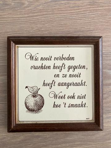 Vintage Hollandse Tegels met leuke spreuken.  beschikbaar voor biedingen