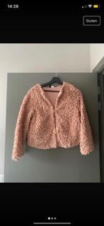 Teddy jas roze, Kleding | Dames, Jassen | Winter, H&M, Ophalen of Verzenden, Zo goed als nieuw, Roze
