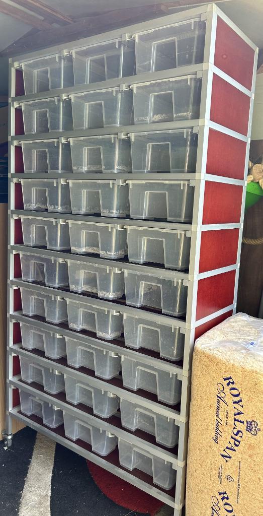 Slangen rack - plaats voor 30 baby's/jongvw, Dieren en Toebehoren, Reptielen en Amfibieën | Toebehoren, Gebruikt, Overige typen