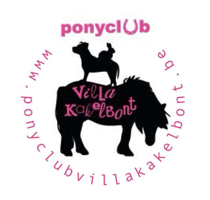 Ponyclub, halve stal, verzorgpony, ponykamp, ponywandeling, Diensten en Vakmensen, Dieren | Paarden | Verzorging, Oppas en Dressuur