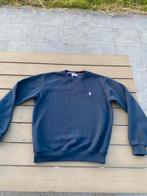 Sweater Ralph Lauren | S, Vêtements | Hommes, Pulls & Vestes, Ralph Lauren, Comme neuf, Enlèvement, Bleu