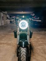 tl1000s naked/ monster/ raptor/ SV1000, Éclairage LED, Plus de 35 kW, Permis Moto A1 minimum, 2 cylindres