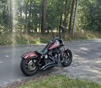 Harley Davidson Dyna Street bob special edition 2014 Pearl, Motoren, Motoren | Harley-Davidson, 2 cilinders, 1690 cc, Chopper