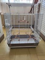 Grande cage imac carlotta taupe, Animaux & Accessoires, Oiseaux | Cages & Volières, Enlèvement, Neuf, Métal, Cage à oiseaux