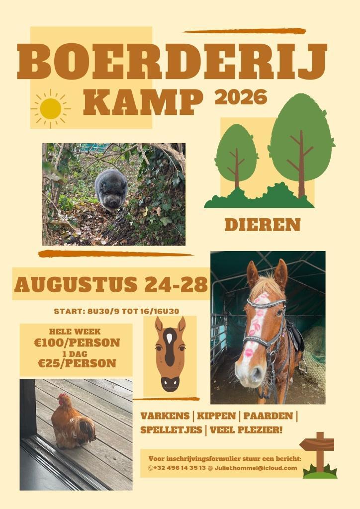 Boerderijkamp (nog plaats op maandag dinsdag en woensdag), Animaux & Accessoires, Chevaux & Poneys | Autres trucs de cheval, Neuf