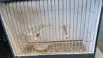 Agaat opaal geel mozaiek, Dieren en Toebehoren