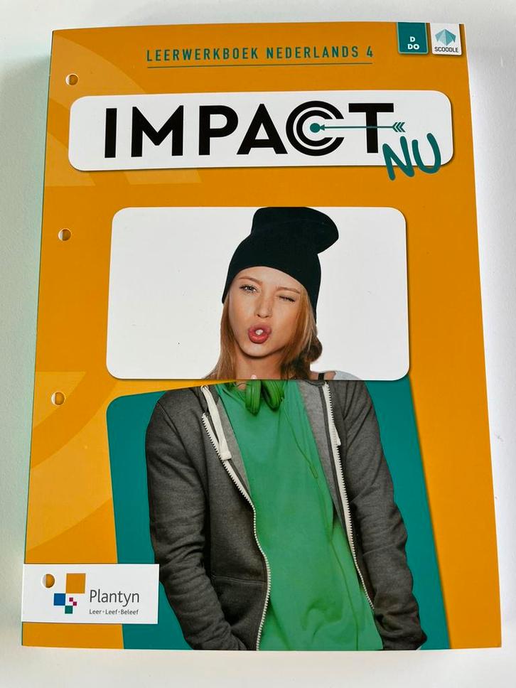 Tine Plets - Leerwerkboek nederlands 4, Boeken, Schoolboeken, Zo goed als nieuw, Nederlands, Ophalen of Verzenden