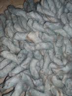 Tapijt Bomat, Ophalen, Blauw, 150 tot 200 cm, 200 cm of meer