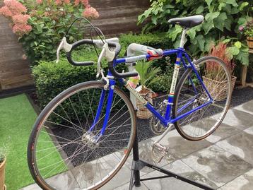 Gios Torino 1979  🇮🇹 beschikbaar voor biedingen