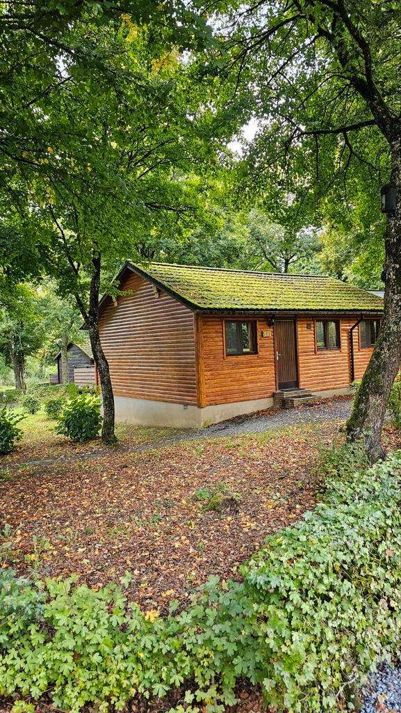 Te huur 4 pers houten prive chalet, Belgische Ardennen, Vakantie, Vakantiehuizen | België, Ardennen of Luxemburg, Chalet, Bungalow of Caravan