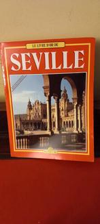 Seville, Boeken, Kunst en Cultuur | Architectuur, Ophalen of Verzenden, Zo goed als nieuw