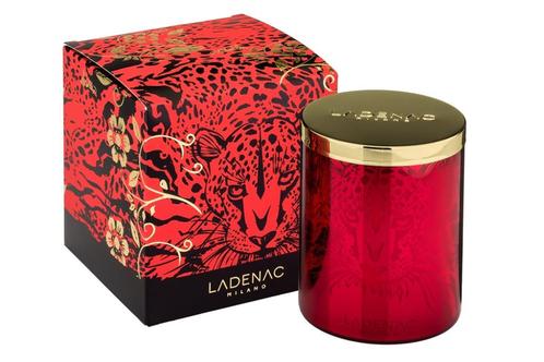 Bougie parfumée Ladenac Africa Leopardo NOUVEAU !!, Maison & Meubles, Accessoires pour la Maison | Bougeoirs & Bougies, Neuf, Bougie