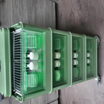 Italiaanse transportkooi  beschikbaar voor biedingen
