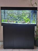 Aquarium met toebehoren, Dieren en Toebehoren, Vissen | Aquaria en Toebehoren, Ophalen, Zo goed als nieuw, Gevuld zoetwateraquarium