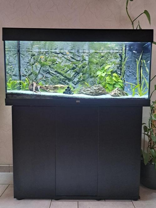 Aquarium met toebehoren, Dieren en Toebehoren, Vissen | Aquaria en Toebehoren, Zo goed als nieuw, Gevuld zoetwateraquarium, Ophalen