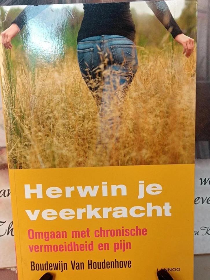 Herwin je veerkracht, Boeken, Psychologie, Zo goed als nieuw, Ophalen of Verzenden