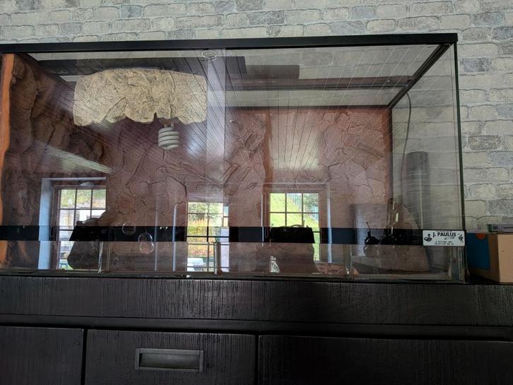 Terrarium, Dieren en Toebehoren, Reptielen en Amfibieën | Toebehoren, Gebruikt, Terrarium of Paludarium, Ophalen