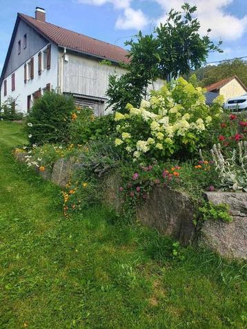 Hautes Vosges La Bresse Authentique partie de Ferme dans val