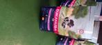 Eukanuba hondenvoer, Dieren en Toebehoren, Ophalen of Verzenden, Hond