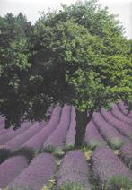Provence en Camargue- Artis, Ophalen of Verzenden, Gelezen, Artis historia, Prentenboek