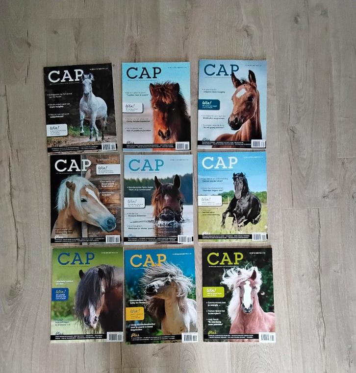 Paardentijdschrift CAP, Livres, Journaux & Revues, Comme neuf, Sports et Loisirs, Enlèvement ou Envoi