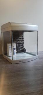 Aquarium Superfish/Aqua 40/40L/Filter/38x30x30cm, Gebruikt, Ophalen of Verzenden, Leeg aquarium