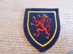 Fae Lum 10 Wing KB-patch, Verzenden, Luchtmacht, Embleem of Badge