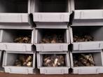 SET AANSLUITSET VOOR SOLDEERSOLDEER MESSING, Ophalen