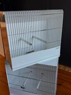 Kweekkooien, Dieren en Toebehoren, Ophalen, Zo goed als nieuw