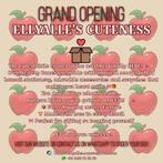 mysterie box hond, Dieren en Toebehoren, Verzenden, Nieuw, Overig speelgoed