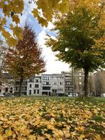 Chambre étudiante à louer en face du Brilschanspark (à parti, Immo, Anvers (ville), Moins de 20 m²