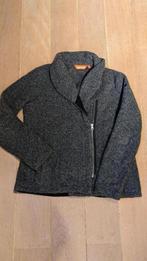 Damestrui lafuma xl, Kleding | Dames, Truien en Vesten, Maat 46/48 (XL) of groter, Ophalen of Verzenden, Grijs, Gedragen