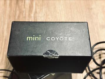 Mini Coyote 