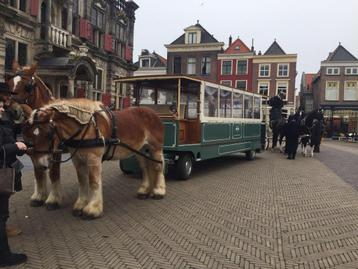 Paarden tram  beschikbaar voor biedingen