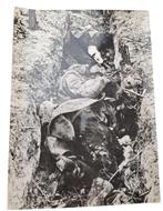 Photo allemande de la Seconde Guerre mondiale aux dimensions, Collections, Objets militaires | Seconde Guerre mondiale, Enlèvement ou Envoi