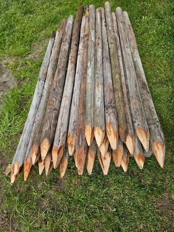 Hout tuinpaalen geïmpregneerd L= 1 m met punt voor 1 euro  beschikbaar voor biedingen