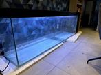 groot aquarium 220x40x70 616l, Dieren en Toebehoren, Ophalen, Zo goed als nieuw, Leeg aquarium