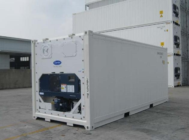 Gebruikte 20' Frigocontainer - Koude opslag, Zakelijke goederen, Machines en Bouw | Keten en Containers, Verzenden