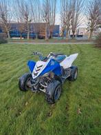 2013 Yamaha Raptor 90 YFM90 yfm 90 kinderquad, Motoren, 1 cilinder, 90 cc