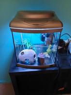 Vis aquarium met accessories, Dieren en Toebehoren, Ophalen of Verzenden, Zo goed als nieuw