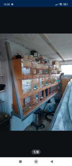 Batterie d'élevage, Animaux & Accessoires, Oiseaux | Cages & Volières, Enlèvement ou Envoi, Comme neuf