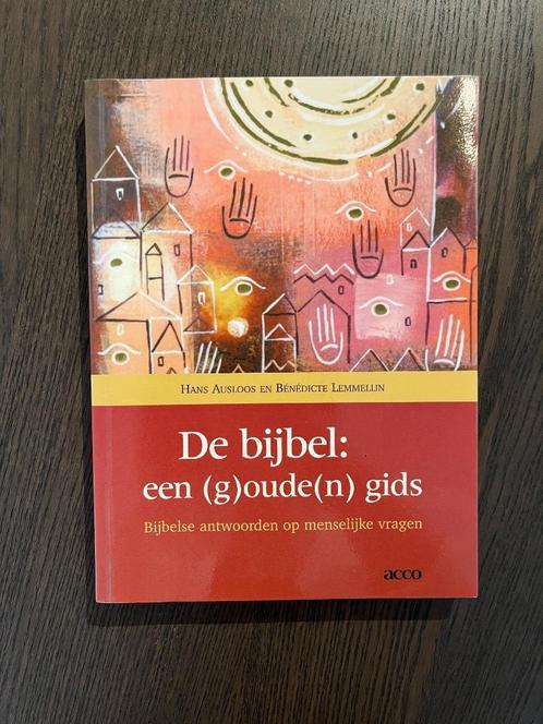 De bijbel: een (g)oude(n) gids - Benedichte Lemmelijn, Boeken, Schoolboeken, Zo goed als nieuw, Godsdienst en Levensbeschouwing