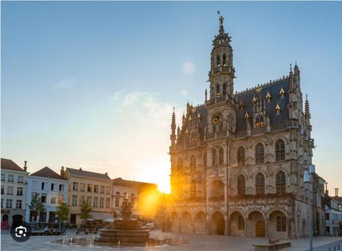 Gezocht: huis met grote garage in Oudenaarde, Immo, Op zoek naar een huis