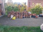 Gratis dakpannen type Pottelberg, Doe-het-zelf en Bouw, Dakpannen en Dakbedekking, Ophalen, Gebruikt, Steen of Klei, Dakpannen
