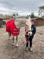 Regendeken EJ rood maat 205, Dieren en Toebehoren, Ophalen, Zo goed als nieuw, Deken